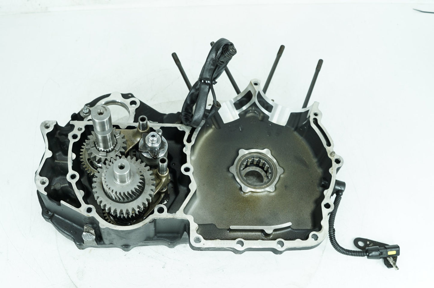 2013 - 2022 Harley-Davidson Sportster Iron Crankcase Shaft Engine Motor Cover 24534-06B