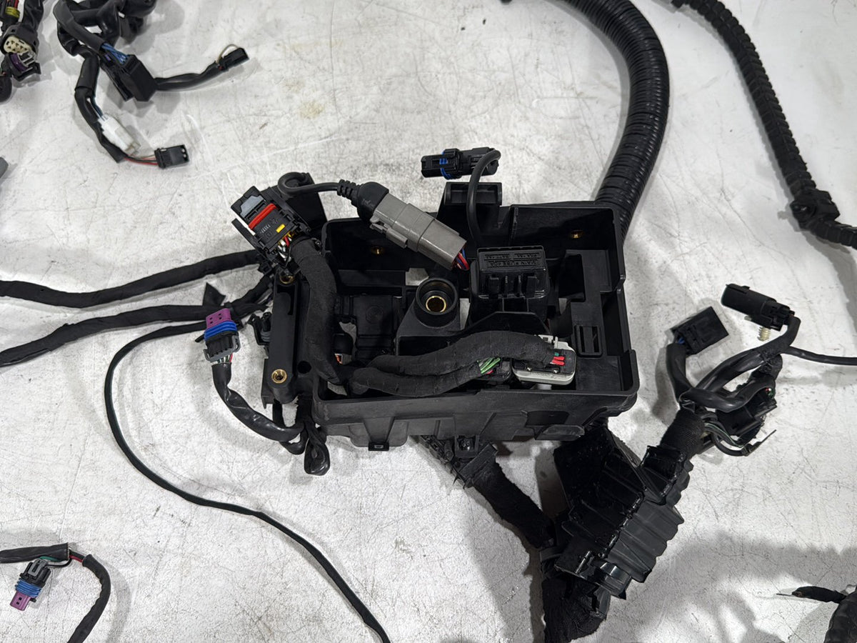 2014 Harley Dyna Low Rider FXDL OEM Main Wire Wiring Harness Loom NON-abs