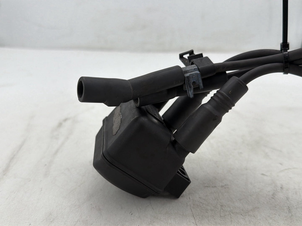 2001 Harley Electra Glide Touring FLHT OEM Ignition Coil Spark Plugs Cable
