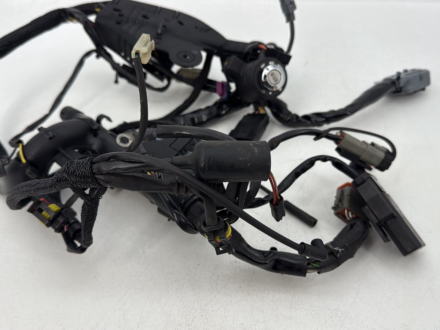 2004 - 2013 Harley-Davidson Sportster 883 Custom Main Wire Wiring Harness Ignition Switch NOKey  	70181-07