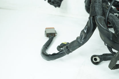 2008 - 2016 Harley-Davidson Touring Electra Glide Ultra Main Wire Wiring Harness Loom ABS 69200304