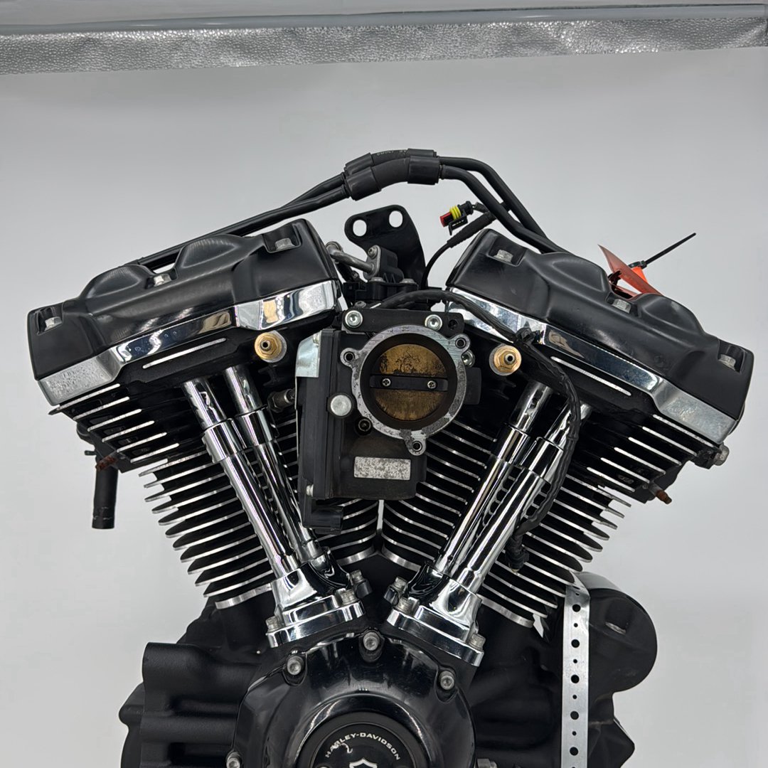 2017 - 2026 Harley-Davidson Softail Heritage Classic 114 EFI Milwaukee M8 114 Engine Motor 16200655