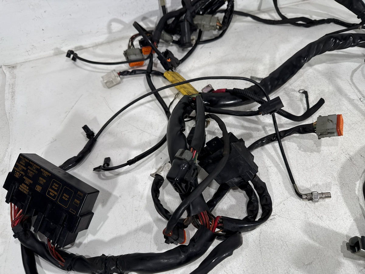 2002 Harley Electra Glide Touring Classic OEM Main Wire Wiring Harness Loom CARB