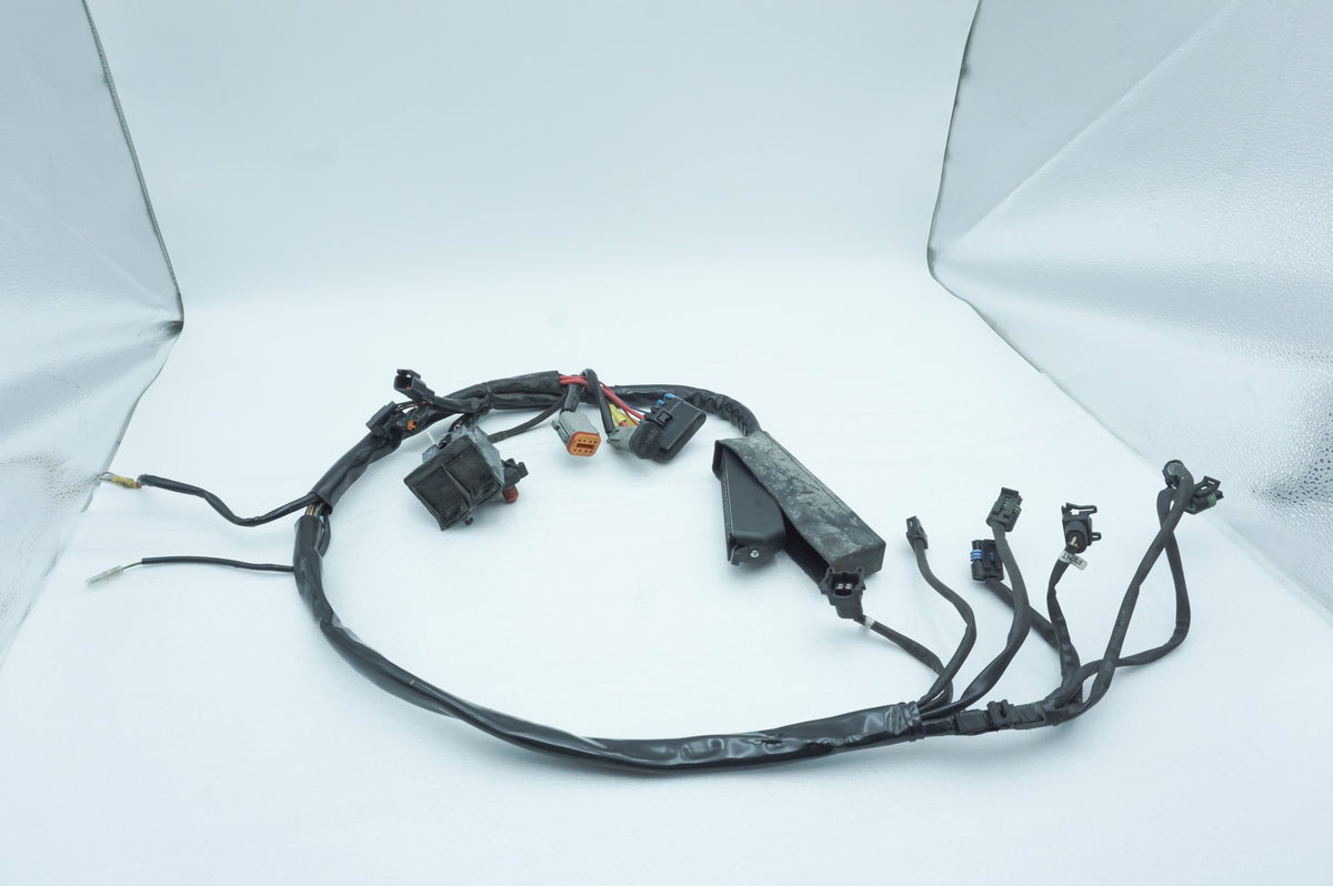 Wire Harness Loom Plug In Connector, 2001, Harley-Davidson, Touring, Electra Ultra, FLHTCUI