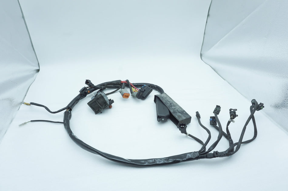 Wire Harness Loom Plug In Connector, 2001, Harley-Davidson, Touring, Electra Ultra, FLHTCUI