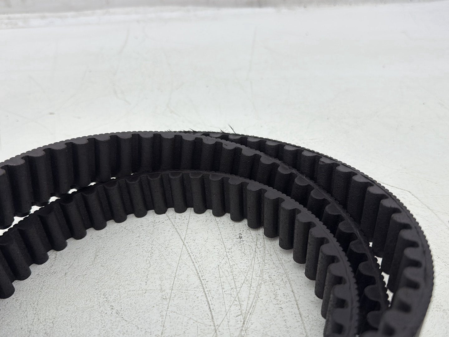 2004 Harley Sportster XL883C 883 Custom OEM Rear Drive Belt