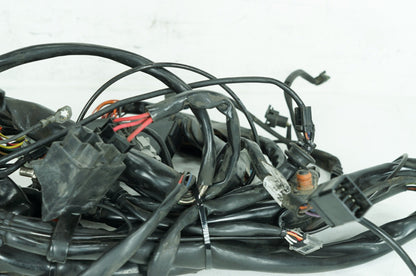 1999 - 2006 Harley-Davidson Touring Electra Glide Classic Main Wire Wiring Harness Loom 70985-01