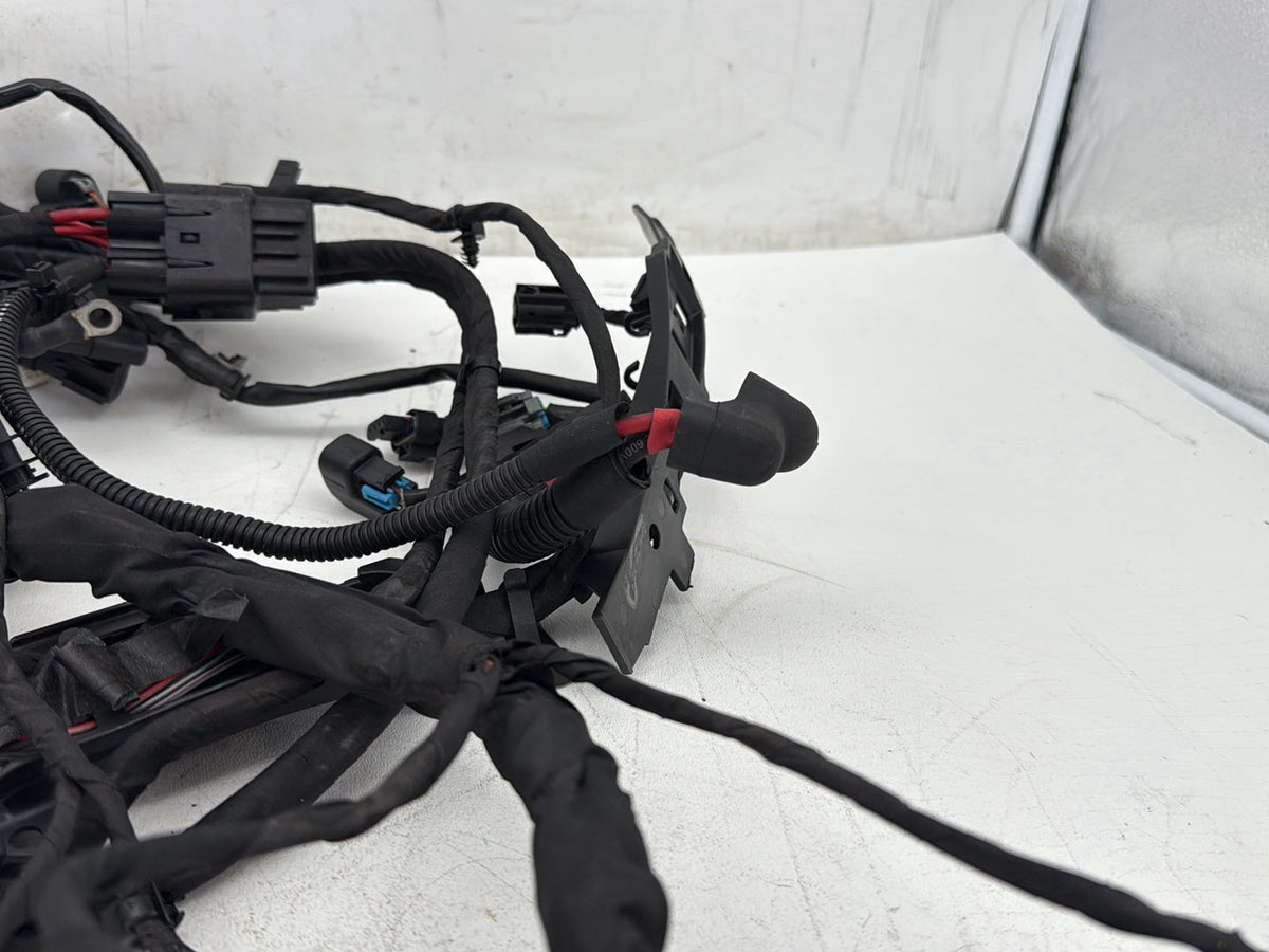 2019 Harley Softail Street Bob FXBB OEM Main Wire Wiring Harness Loom NON-abs