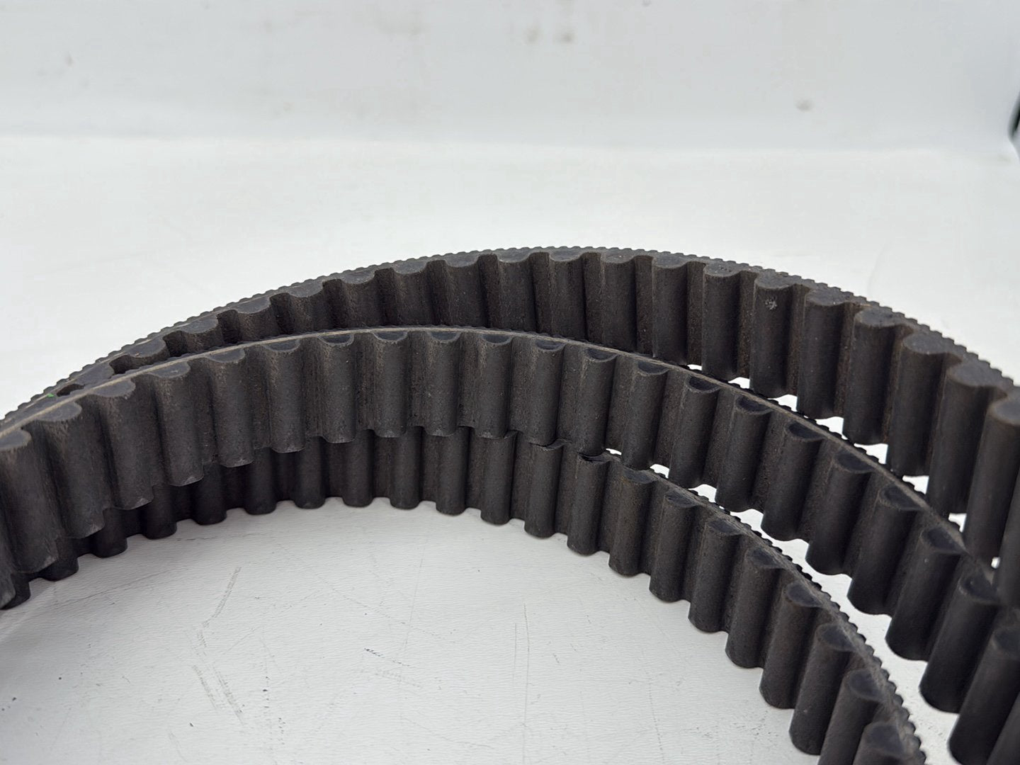 2004 - 2013 Harley-Davidson Sportster 1200 Custom Rear Drive Belt 40571-04B