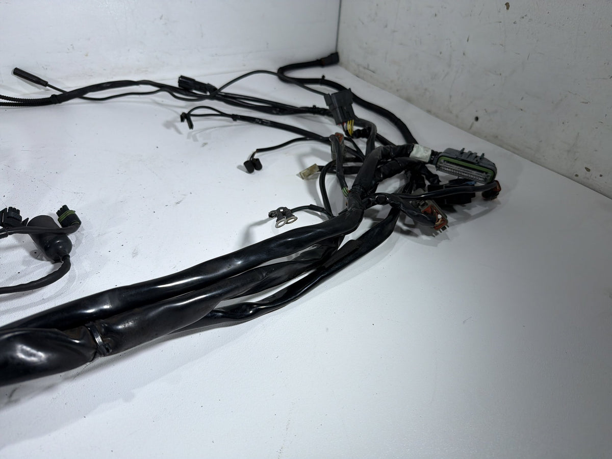 2004 Harley Electra Glide Touring Ultra OEM Main Wire Wiring Harness Loom
