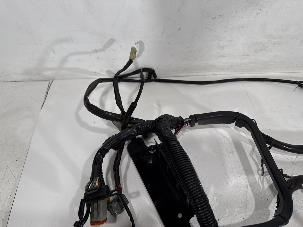 2001 Harley Softail Standard FXST OEM Main Wire Wiring Harness Loom CARB