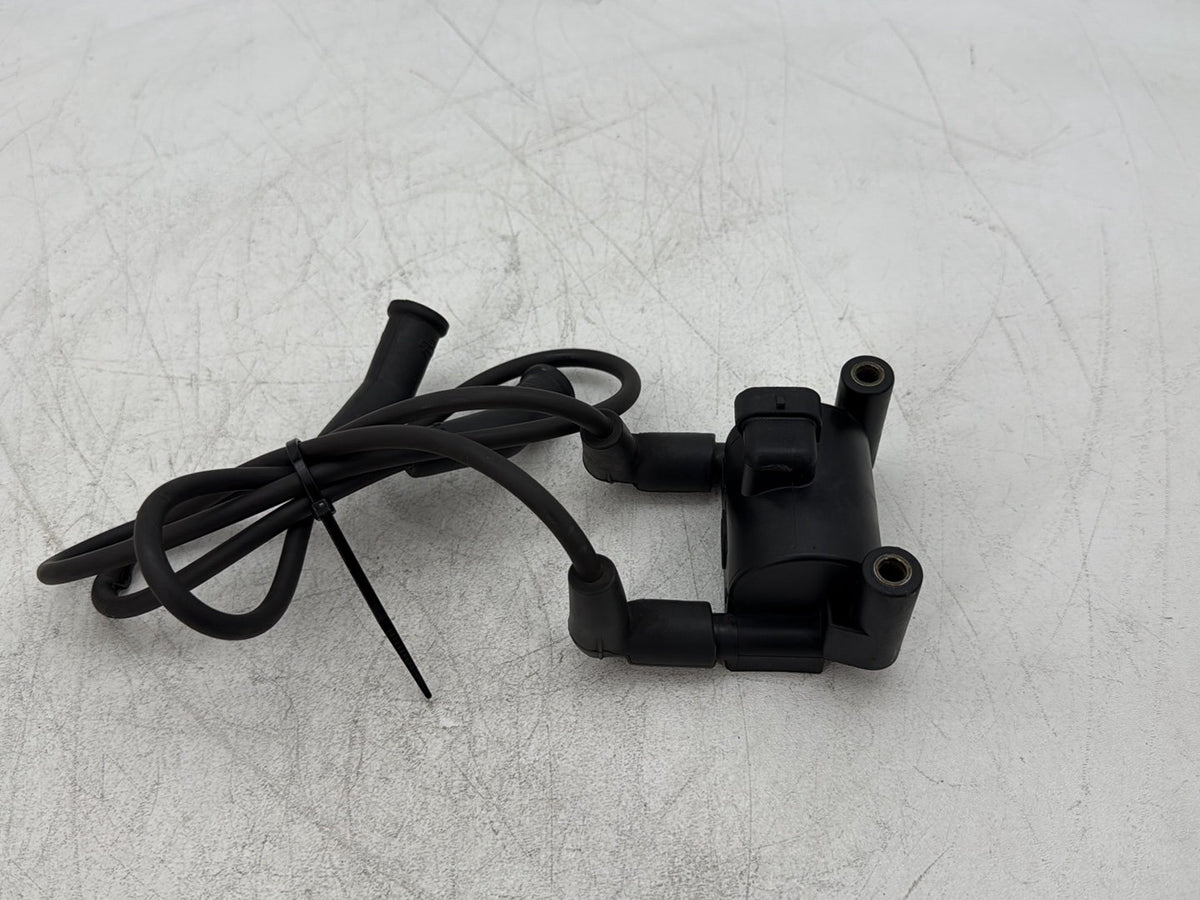 2010 Harley Street Glide Touring FLHX OEM Ignition Coil Spark Plugs Cable