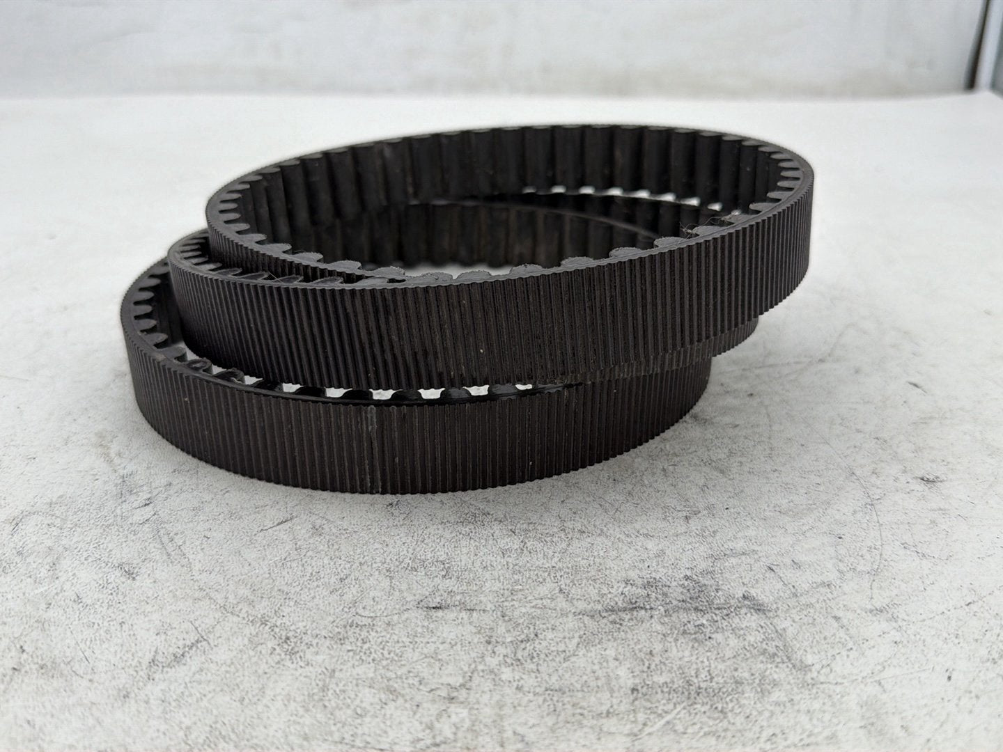 2006 Harley Sportster 1200 Custom XL1200C OEM Rear Drive Belt