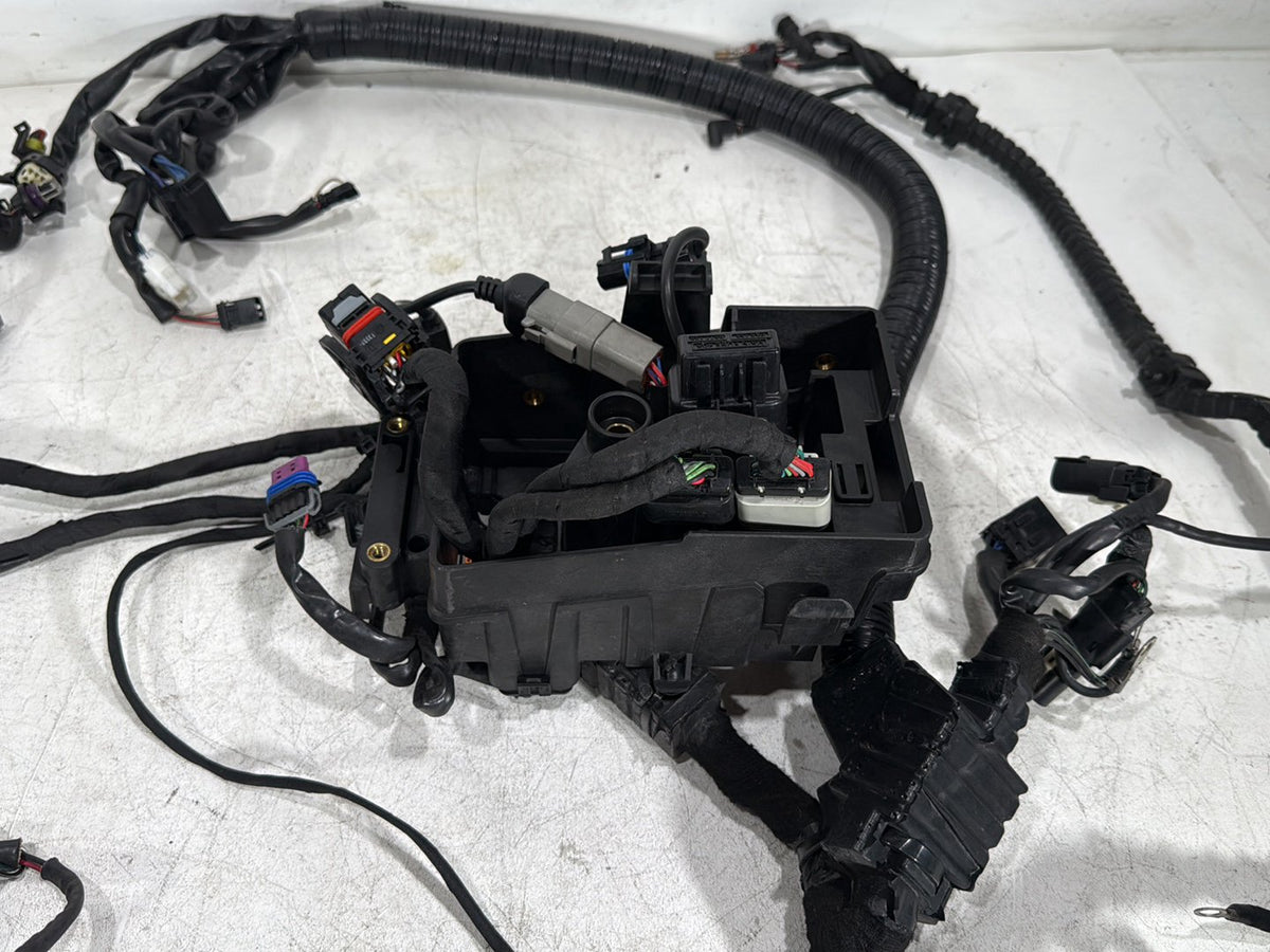 2014 Harley Dyna Low Rider FXDL OEM Main Wire Wiring Harness Loom NON-abs