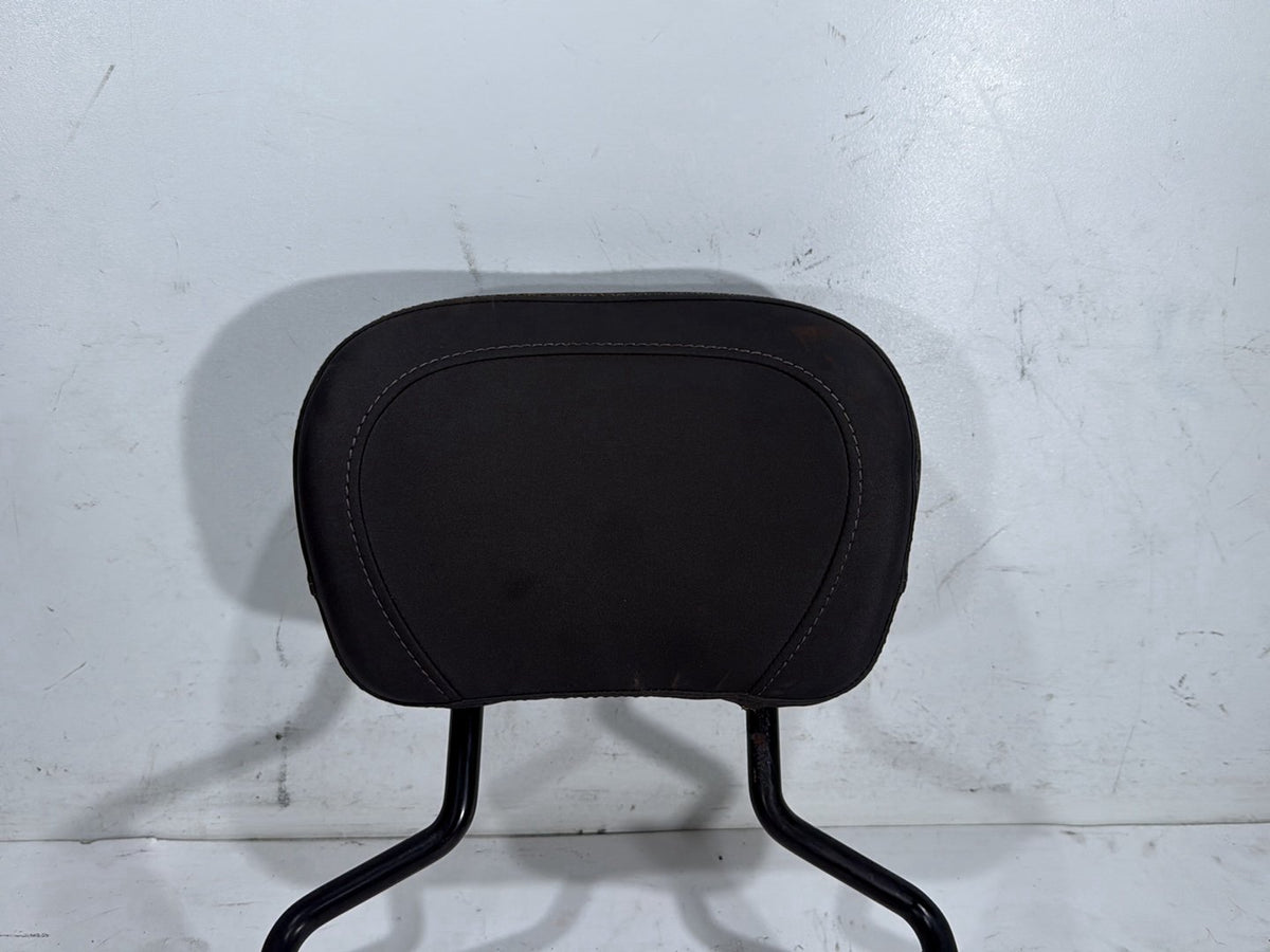 2022 Harley Road King Touring FLHR OEM Rear Sissy Bar w/ Backrest Cushion Pad