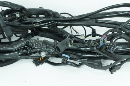 1999 - 2006 Harley-Davidson Touring Electra Glide Ultra Main Wire Wiring Harness Loom 70985-02