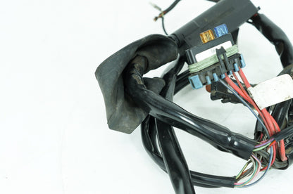 1999 - 2006 Harley-Davidson Touring Electra Glide Ultra Main Wire Wiring Harness Loom 70985-00