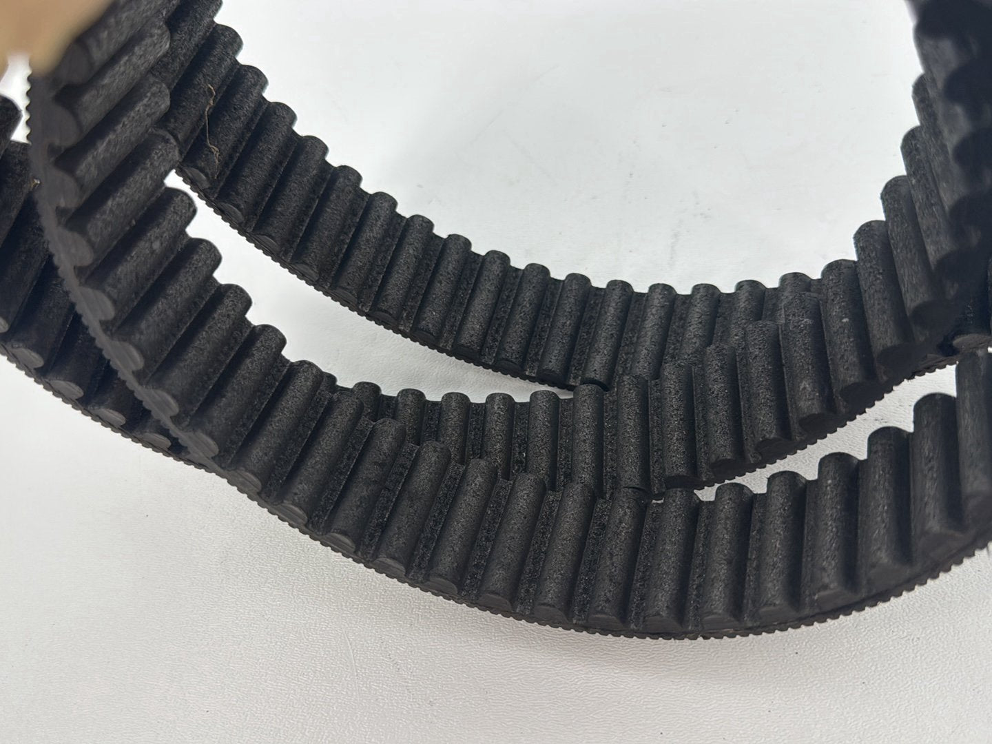 1999 - 2006 Harley-Davidson Dyna Low Rider Rear Drive Belt