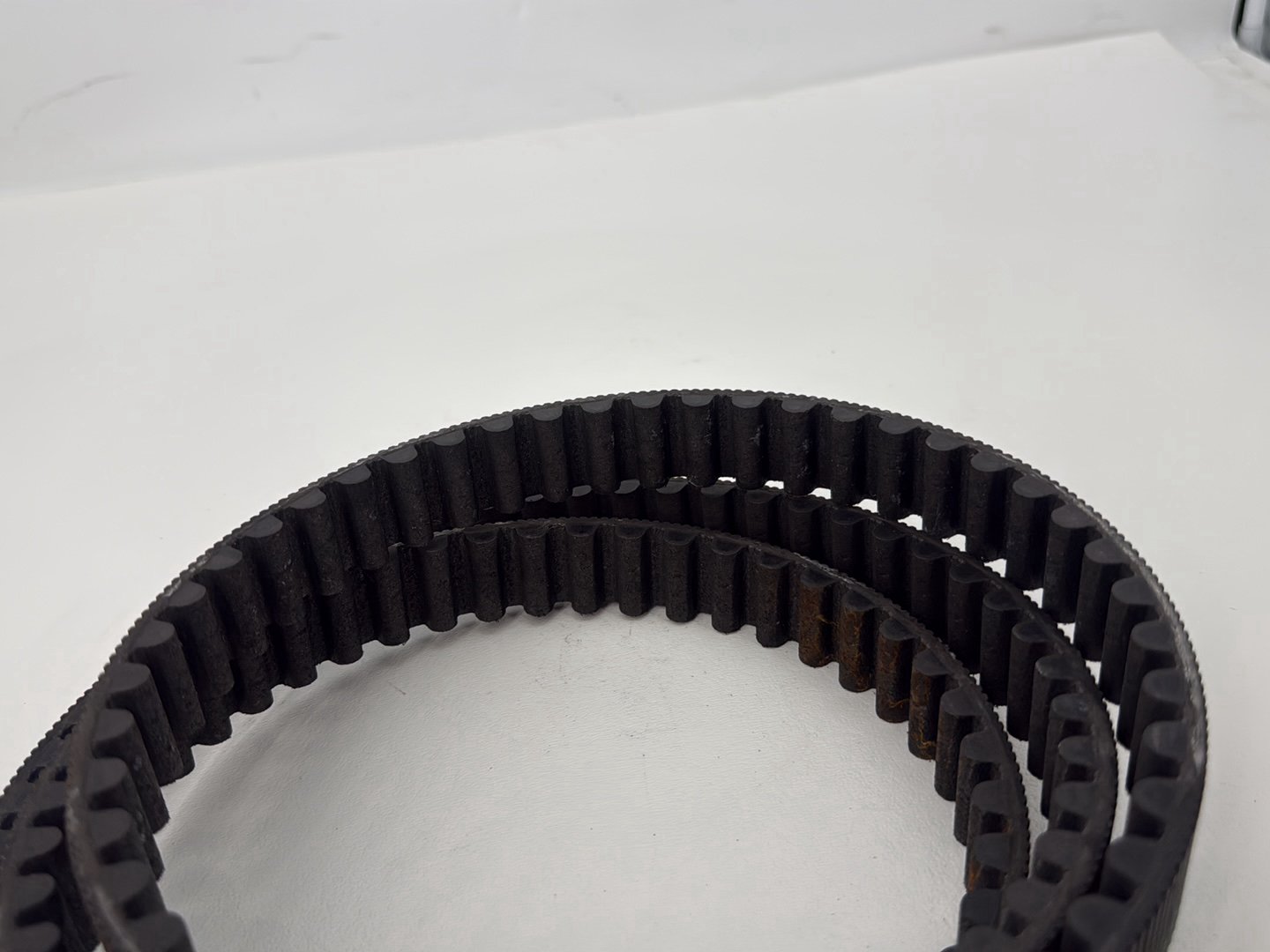 2014 Harley Sportster XL883L 883 SuperLow OEM Rear Drive Belt