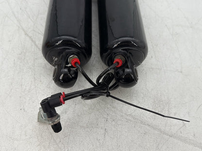 2010 Harley Street Glide Touring FLHX OEM Rear Left Right Shock Absorbers