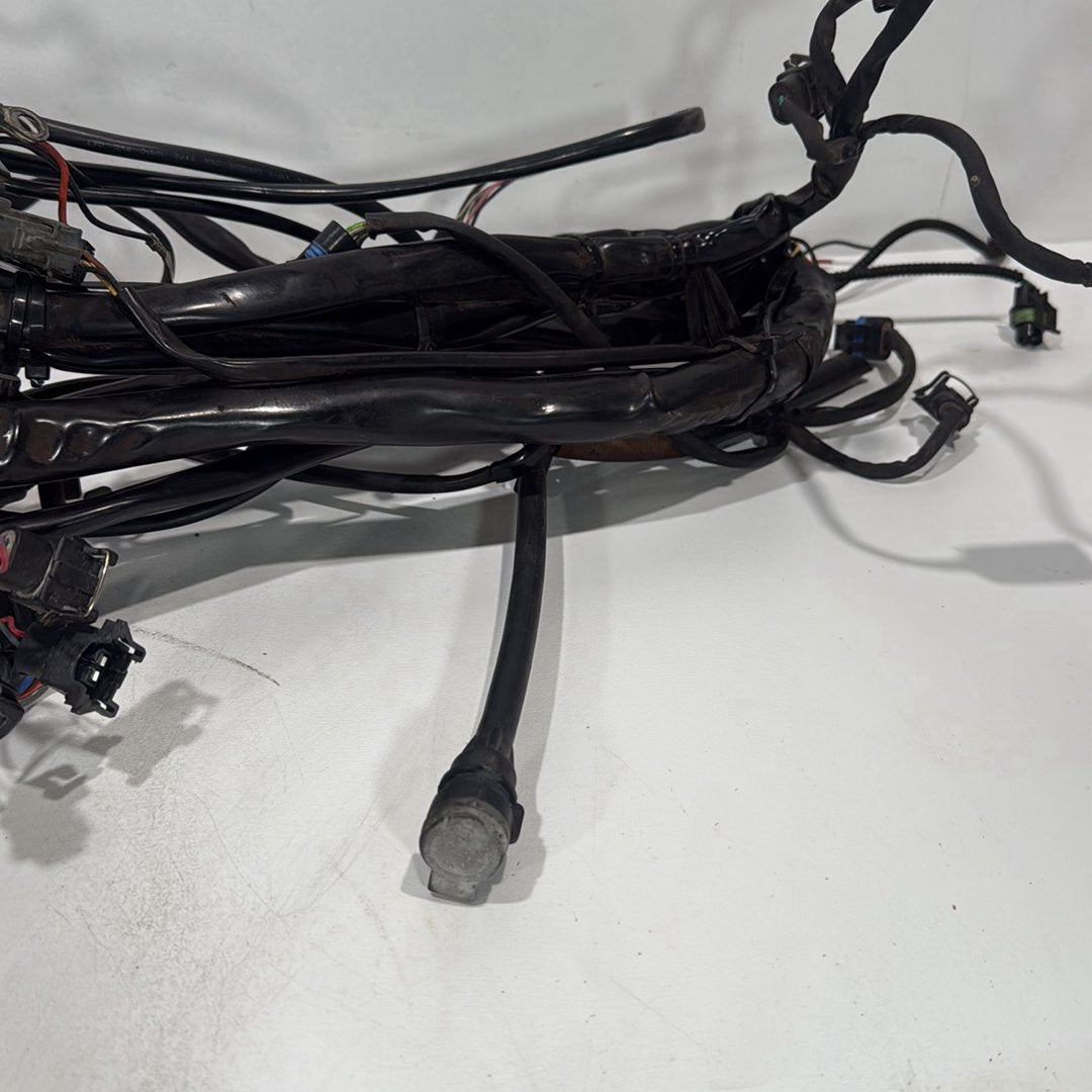 1999 - 2006 Harley-Davidson Touring Electra Glide Ultra Main Wire Wiring Harness Loom 70985-05