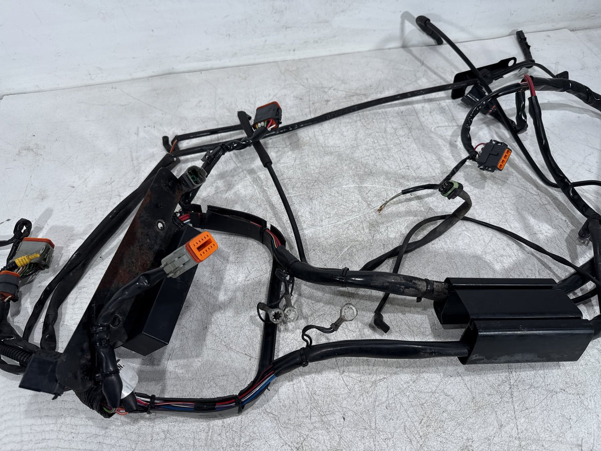 2001 Harley Fat Boy Softail FLSTF OEM Main Wire Wiring Harness Loom CARB
