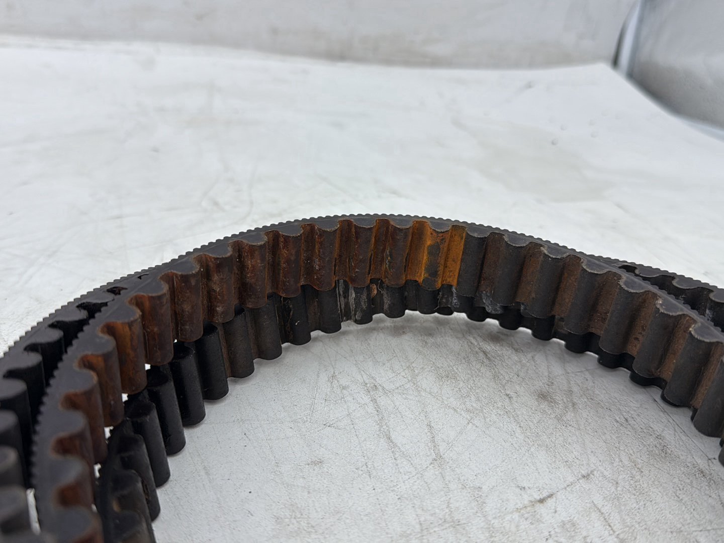 2012 Harley Dyna FXDF Fat Bob OEM Rear Drive Belt