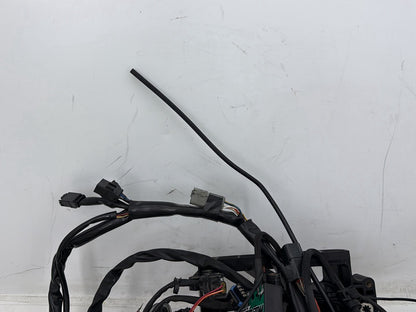 2004 Harley Dyna Super Glide FXDI OEM Main Wire Wiring Harness Loom
