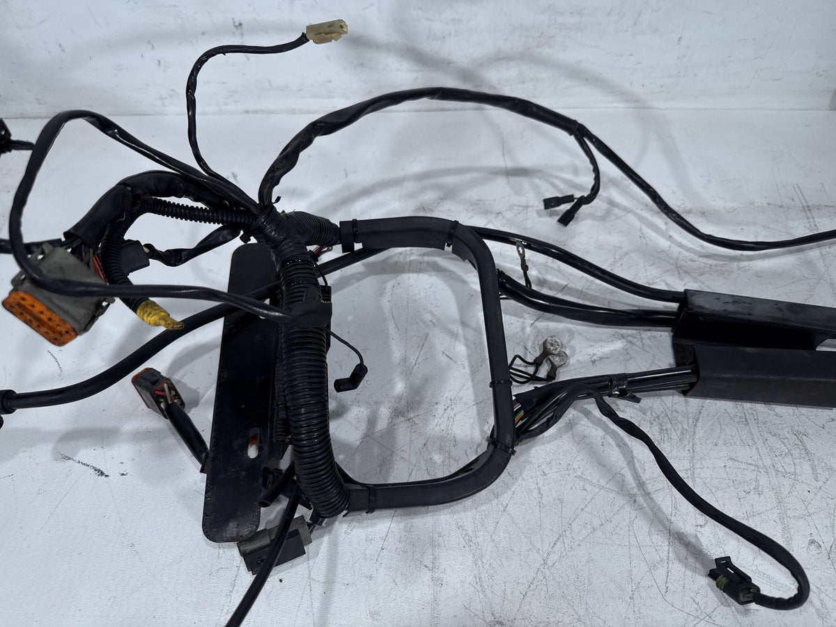02 Harley Heritage Softail Classic FLSTC OEM Main Wire Wiring Harness Loom CARB