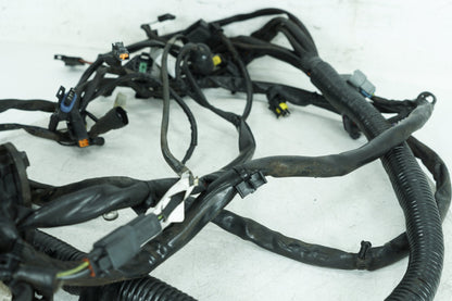 1999 - 2006 Harley-Davidson Dyna Super Glide Main Wire Wiring Harness Loom 69602-06