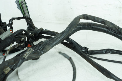 1999 - 2006 Harley-Davidson Dyna Super Glide Main Wire Wiring Harness Loom 69602-06