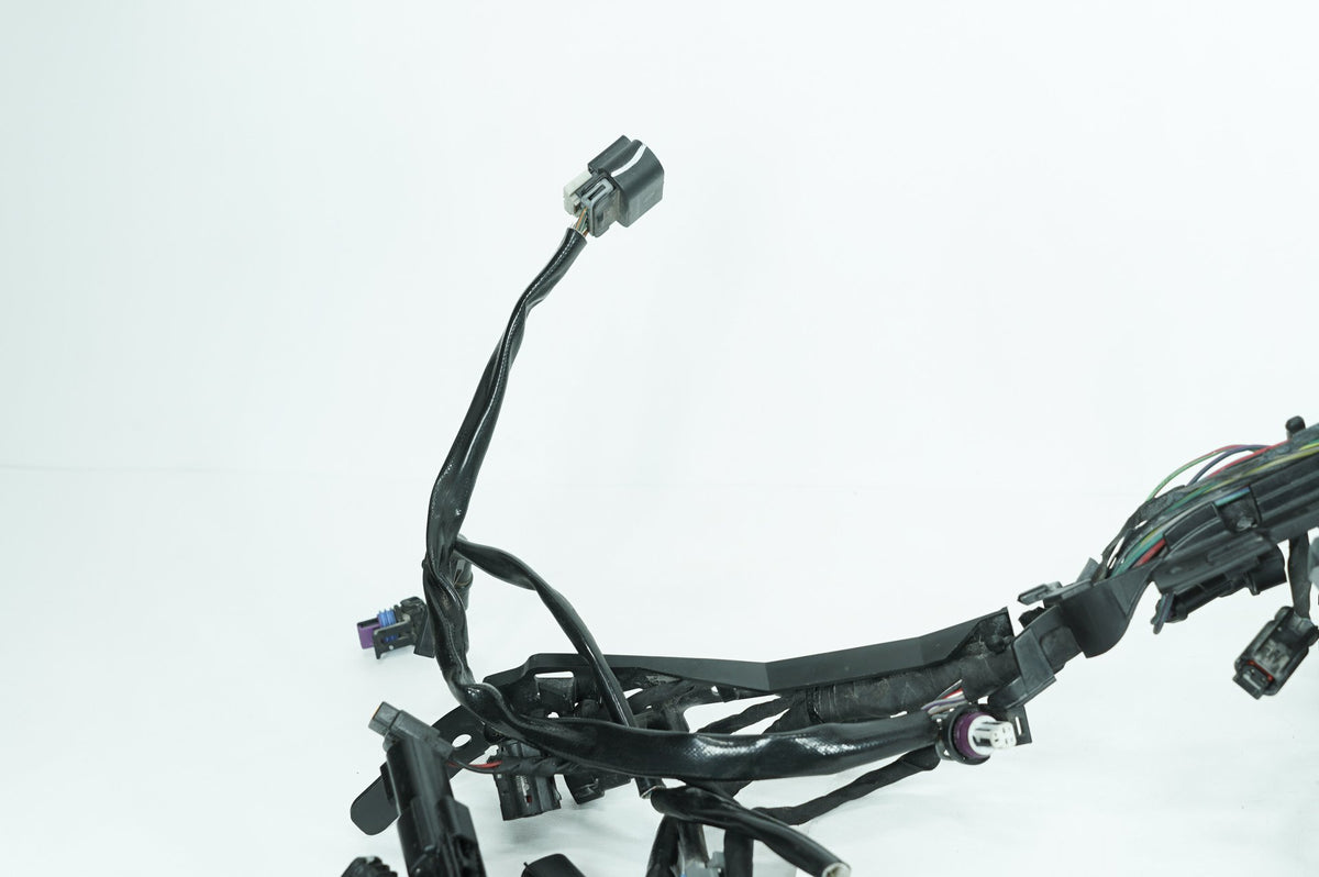 2023 Harley Softail FXLRS Low Rider S OEM Main Wire Wiring Harness Loom ABS