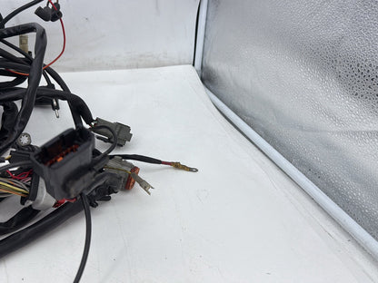 2000 Harley Touring Electra Glide Ultra OEM Main Wire Wiring Harness Loom EFI