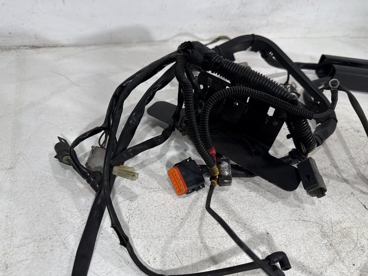 01 Harley Heritage Softail Classic FLSTC OEM Main Wire Wiring Harness Loom CARB