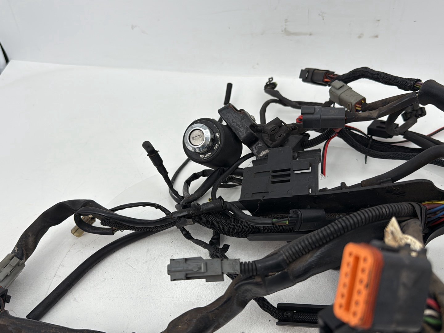 2004 - 2013 Harley-Davidson Sportster 883 Custom Main Wire Wiring Harness Ignition Switch NOKey 70139-06
