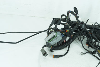 2000 - 2006 Harley-Davidson Softail Deuce Main Wire Wiring Harness Loom 70216-01
