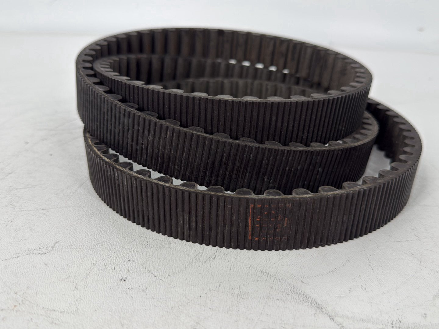 2005 Harley Sportster XL883C 883 Custom OEM Rear Drive Belt