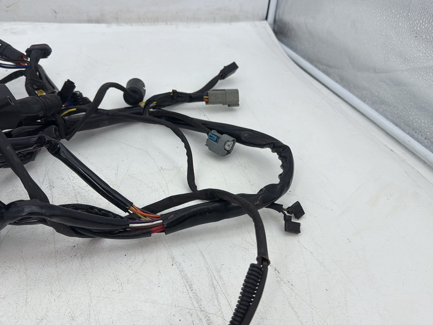 2006 Harley Softail FLSTCI Heritage Classic OEM Main Wire Wiring Harness Loom