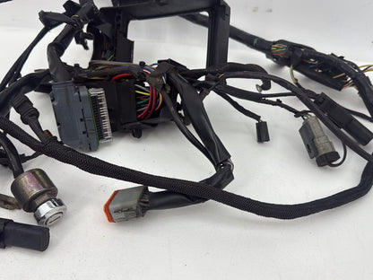 2004 - 2022 Harley-Davidson Sportster 1200 Nightster Main Wire Wiring Harness Ignition Switch NOKey 70181-10