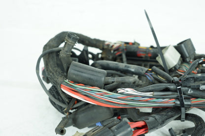 2004 - 2022 Harley-Davidson Sportster SuperLow Main Wire Wiring Harness Loom NON-abs 69200072B