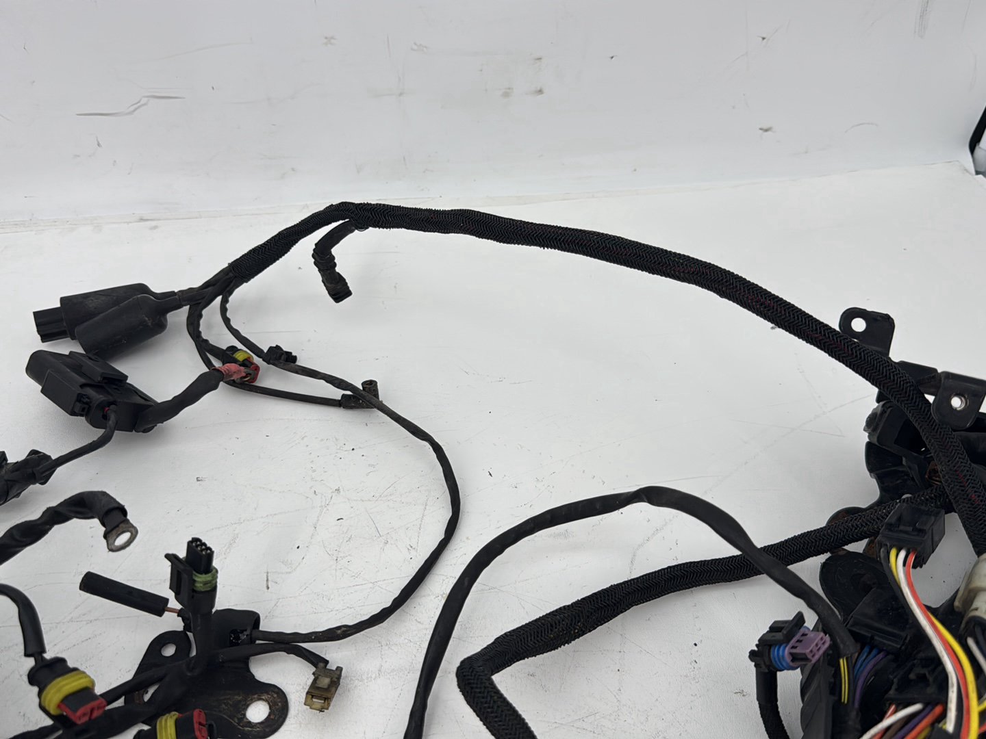 2009 Harley Sportster XL1200 1200 Main Wire Wiring Harness Ignition Switch NOKey