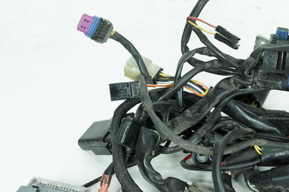 2004 - 2022 Harley-Davidson Sportster 883 Main Wire Wiring Harness Loom 70181-07