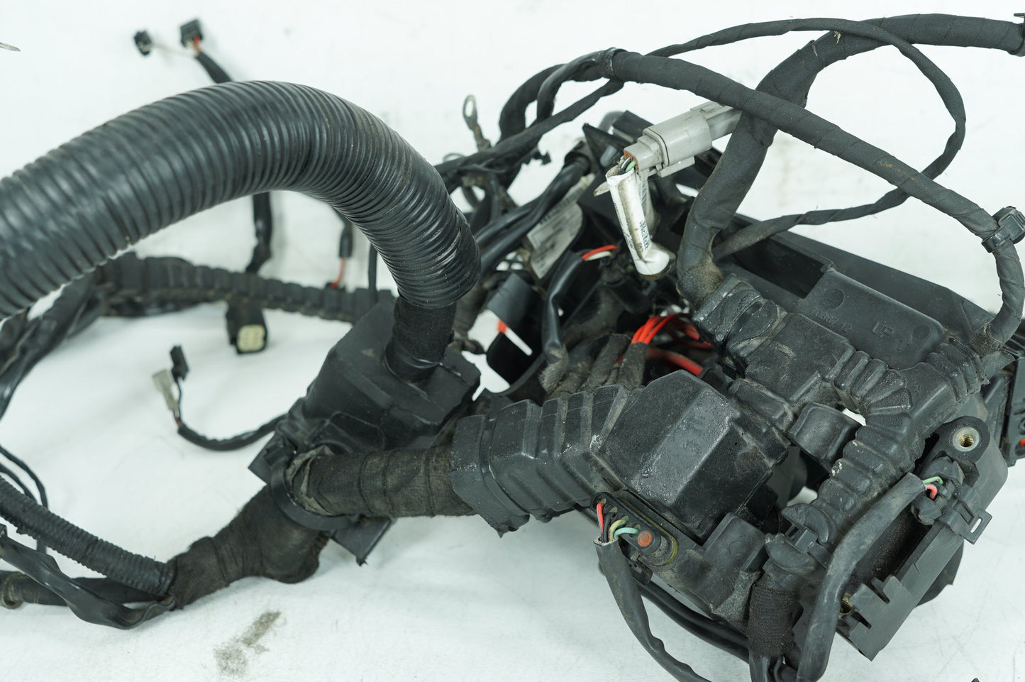 2007 - 2017 Harley-Davidson Dyna Street Bob Main Wire Wiring Harness Loom NON-abs   71072-12A