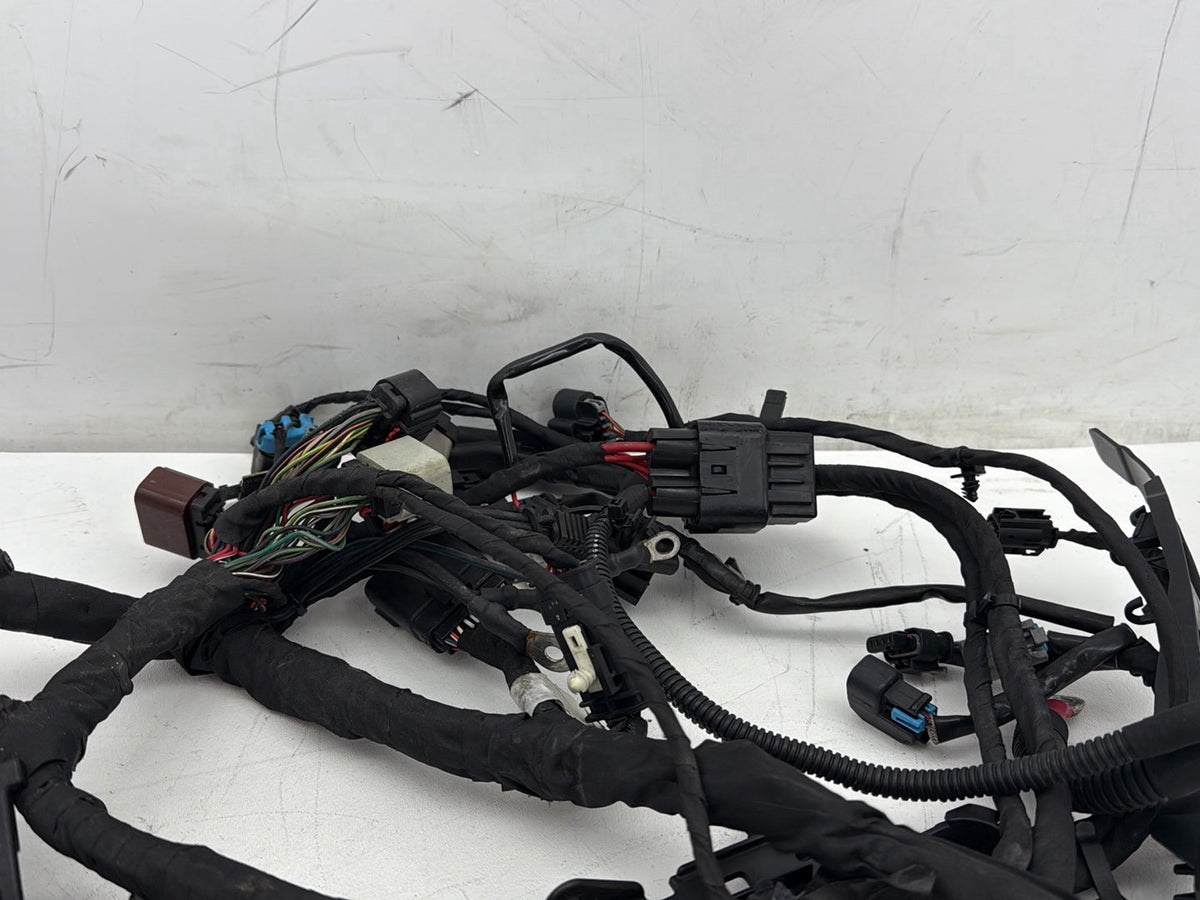 2019 Harley Softail Street Bob FXBB OEM Main Wire Wiring Harness Loom NON-abs