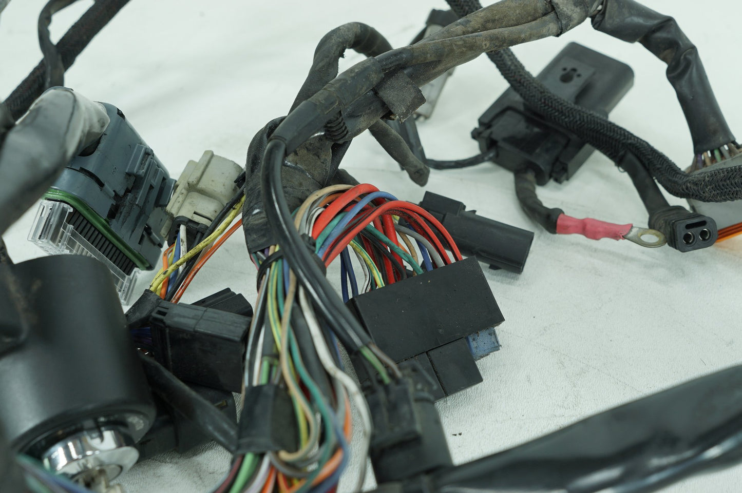 2004 - 2013 Harley-Davidson Sportster Low Main Wire Wiring Harness Loom 69200317