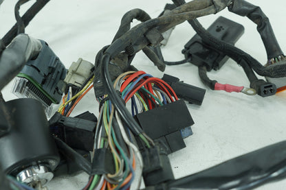 2004 - 2013 Harley-Davidson Sportster Low Main Wire Wiring Harness Loom 69200317