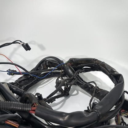 1999 - 2006 Harley-Davidson Touring Electra Glide Classic Main Wire Wiring Harness Loom  	70985-04