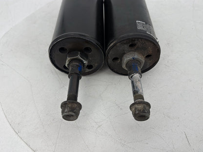 1999 - 2006 Harley-Davidson Softail Heritage Rear Left Right Shock Absorbers 54508-00B