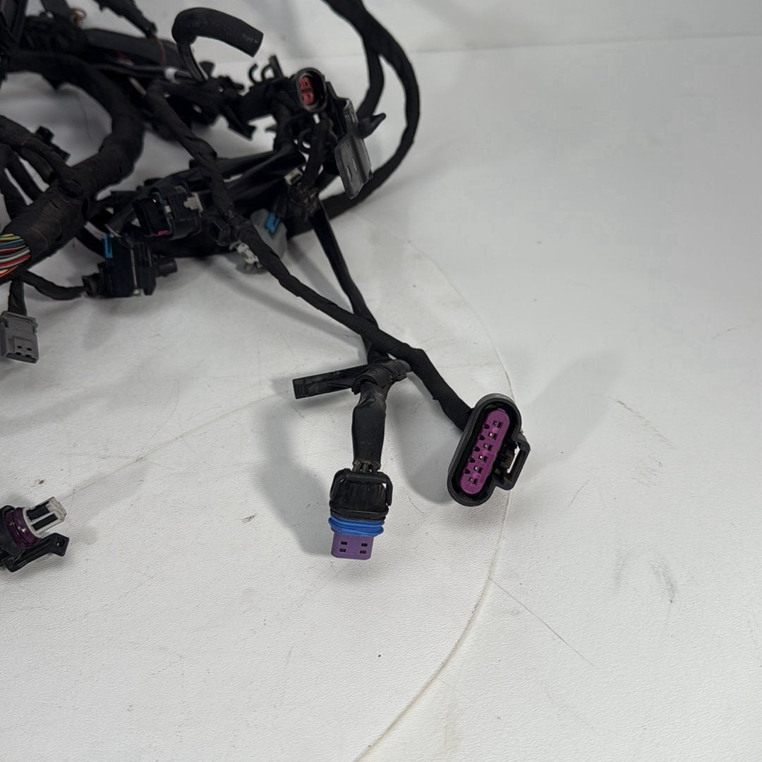 2017 - 2026 Harley-Davidson Softail Heritage Classic 114 Main Wire Wiring Harness Loom ABS 69201492