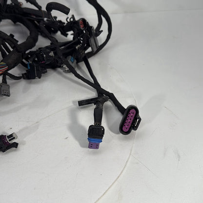 2017 - 2026 Harley-Davidson Softail Heritage Classic 114 Main Wire Wiring Harness Loom ABS 69201492